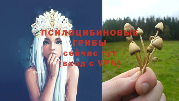 индика Магадан