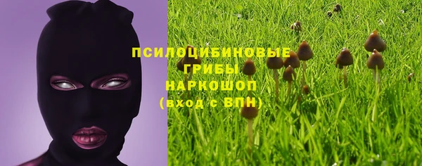мескалин Новозыбков