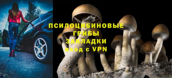 каннабис Магас
